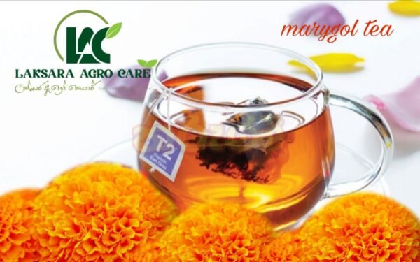 දාස්පෙතියා තේ