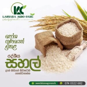 රතු සූදුරු සහල්