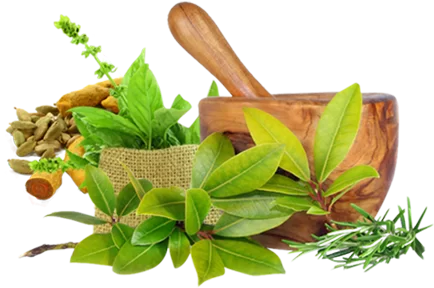 Ayurvedic Treatments