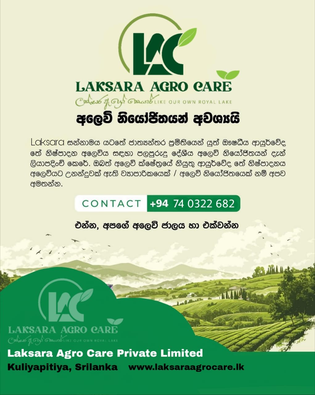 WhatsApp Image 2025-07-12 at 2.32.58 PM